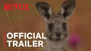 Kangaroo Valley | Official Trailer | Netflix