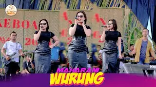 Wurung - Maharani  (Andista Musik Live | Bersih Desa Keboan Aliyan) Official M/V