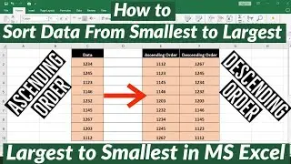 How to Sort Data From Largest to Smallest in MS Excel | How to Sort Data From Smallest to Largest