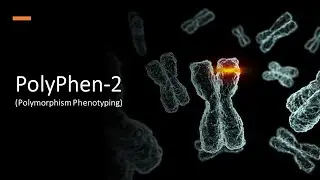 PolyPhen-2 (Polymorphism Phenotyping)