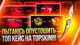 👑ПЫТАЮСЬ ОПУСТОШИТЬ ТОП КЕЙС НА TOPSKIN!!!