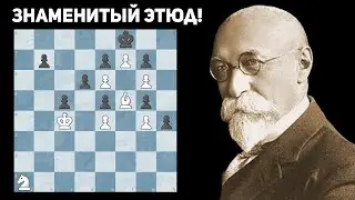 Решение Этого Этюда Поражает! Этюд Отто Титуса Блати!