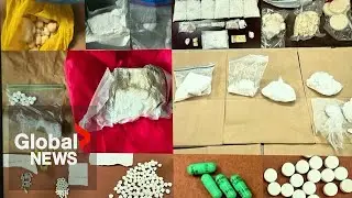 32 arrested after investigation reveals Toronto gang was shipping drugs using Canada Post