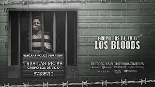 Los Bloods - Grupo Los De La O (Audio Oficial)