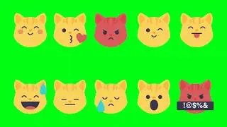 😺😻😼 Cute CAT FACE animated EMOJI GREEN SCREEN effect