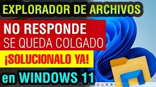 Explorador de Archivos no responde Windows 11 solucion 2024