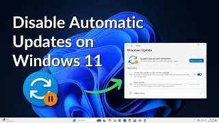 How to Disable Automatic Updates on Windows 11