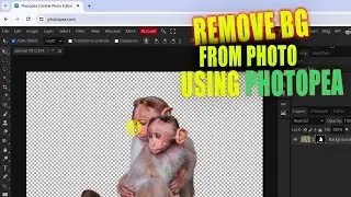 How to remove background from a photo using Photopea, quick guide