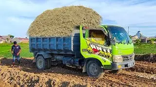 Truk Jomplang, Mobil Truk Pengangkut Tanah Timbunan Cadas Bongkar Muatan Full Bak