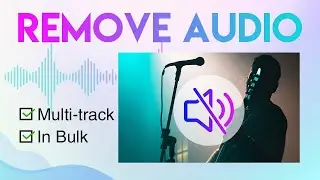 How to Remove Audio from Video | Without Rendering | In Bulk