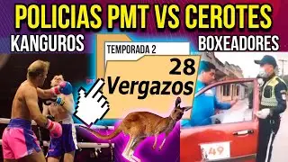 La Carpeta De Los Vergazos  | Policias PMT vs cerotes Kanguros y Box | EseMajeEngasado