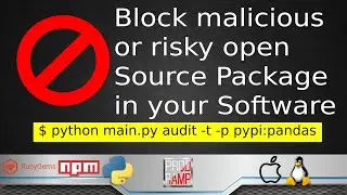 Do you know if open-source Python package in your application is malicious/risky?