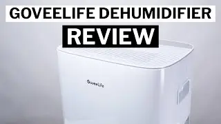 GoveeLife Dehumidifier Review