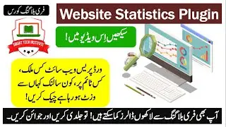 WordPress Visitor Counter | WP Statistics plugin