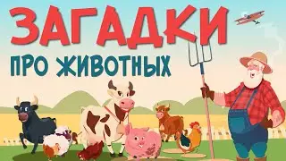 10  Загадок про ЖИВОТНЫХ !