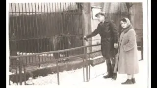 Old photos from my family archive