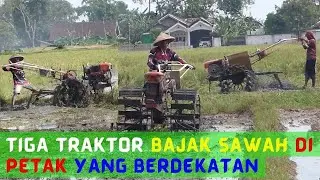 Tiga traktor bajak sawah di petak yang berdekatan