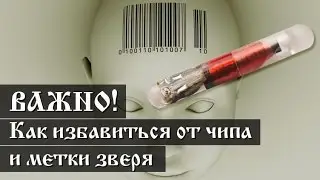 ВАЖНО! Как избавиться от чипа и метки зверя. Часть 3.