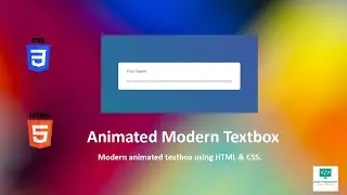 Modern Input Animation using HTML & CSS | Stack Programmer