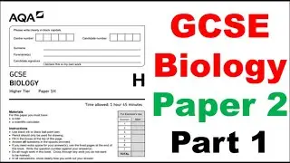 Biology Paper 2 GCSE Past Paper Questions Walkthrough 2023 Revision - Part 1