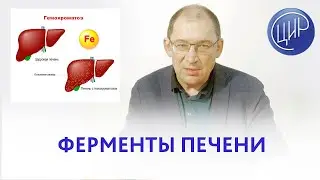 Ферменты печени при беременности и гемохроматоз. Акушер-гинеколог, к.м.н., создатель ЦИР, Гузов И.И.