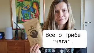 Что лечит чага? Рецепт шоколада с чагой.