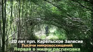 🏡 20 лет прп. Карельское Залесие / Тысячи микровосхищений / Первая в жизни распаковка