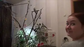 Герда - принцесса с севера
