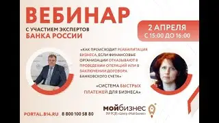 Вебинар для субъектов малого и среднего предпринимательства с экспертами Банка России