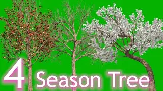 Four Season Tree Green _ Blue Screen