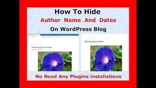 Hide Author Name And Date From Posts 2018 Updated | Wordpress Blog