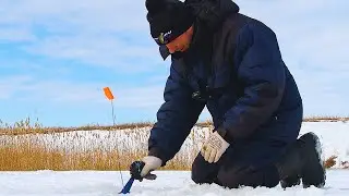 ПОСЛЕ ОБЕДА ЩУКИ СОШЛИ  УМА! Рыбалка на жерлицы в феврале!