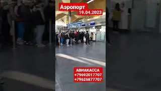 САНКТ-ПЕТЕРБУРГ САМАРКАНД АЭРОПОРТ ПУЛКОВО 19.04.2023‼️