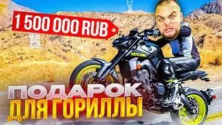 ХАЗЯЕВА ПОДАРИЛИ МОТОЦИКЛ ДАНИЛЕ ГОРИЛЛЕ | КОНФЛИКТ С БЫДЛОМ В МОТОМАГАЗИНЕ