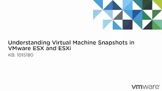 KB 1015180 Understanding Virtual Machine Snapshots in VMware ESX and ESXi