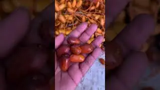 Seasonal fruits of eetha pallu / indian palm dates #puviyakitchen #shortsvideo  #shorts