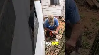 Old Man Cut Down 200-year-old Tree, Very Closed to His House #chainsawman #arborist #logging