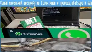 Самый маленький дистрибутив linux,мыши и провода,whatsapp и бан