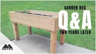 Two Years Later | Q& A