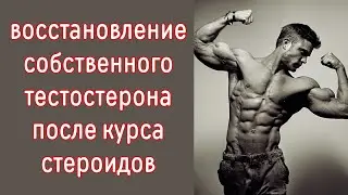 Восстановление собственного тестостерона после курса стероидов