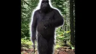 There Is No Veil, Trailer 3:  The Sasquatch Connection