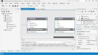 Database DataSet and Details View in Visual Studio