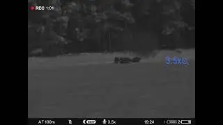 охота на кабана с засидки. pulsar digex c50