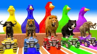 5 Giant Duck Cartoon,Tiger,Cow,rabbit,Zebra,Dinosaur,Dog,Cat Wild Animals Crossing Fountain 2023