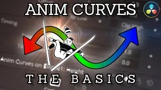 New Anim Curves Modifier in DaVinci Resolve 17 | Easily Create Animations for Different Frame Rates