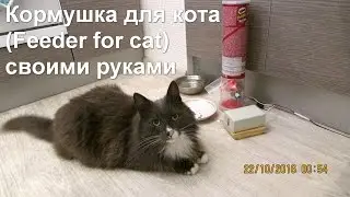 Кормушка для кота - Feeder for cat