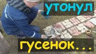 НИКОГДА Не используйте такие поилки для ГУСЯТ!!!