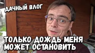 Наконец-то я посадил все цветы, что из этого вышло? Ландшафт или благоустройство участка на даче