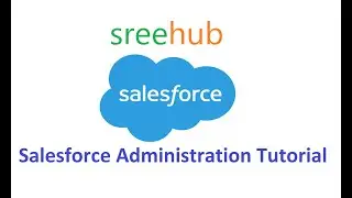 19 Salesforce Administration - Admin Translation and Data management