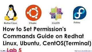 How to Set Permissions Commands Guide on Redhat Linux, Ubuntu, CentOS(Terminal) - Lab 5